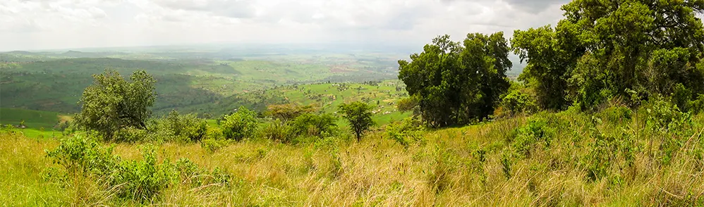 Velden rond Mount Elgon op de grens met Oeganda