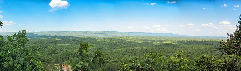Kakamega Forest Reserve