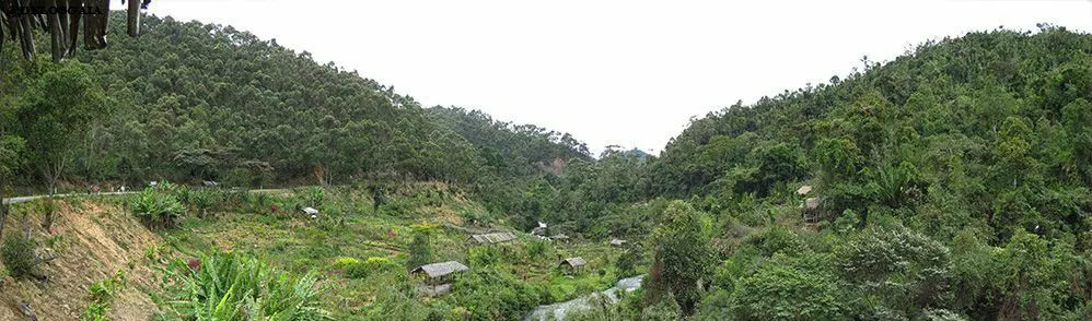 Corridor Forestier D'Anjozorobe