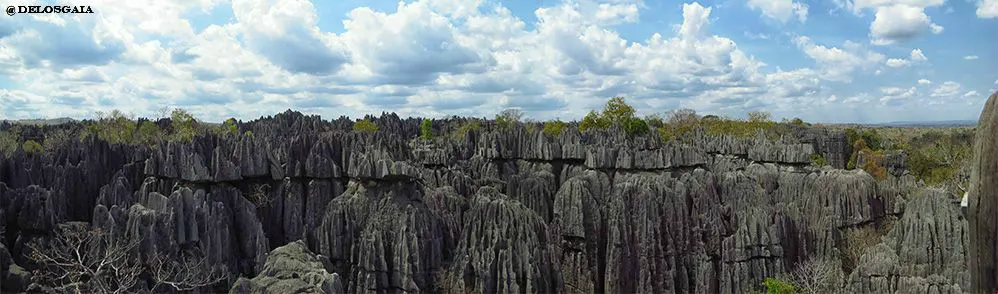 Tsingy de Bemaraha