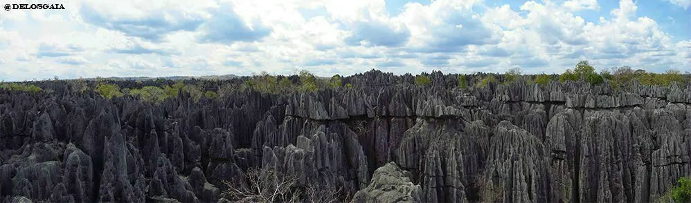 Tsingy de Bemaraha