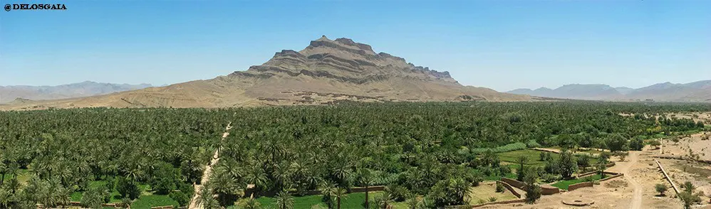 De akker op de oevers van Draa rivier met de heuvels van het Anti-Atlas gebergte op de achtergrond