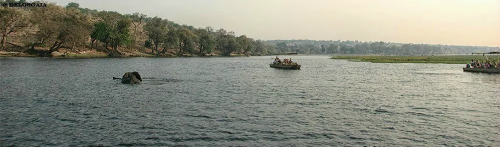 Chobe National Park