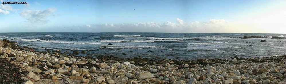 Strand bij Kaap de Goede hoop
