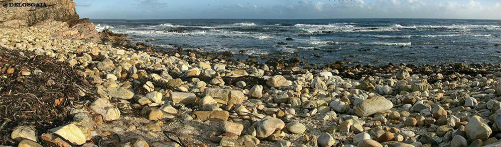 Strand bij Kaap de Goede hoop