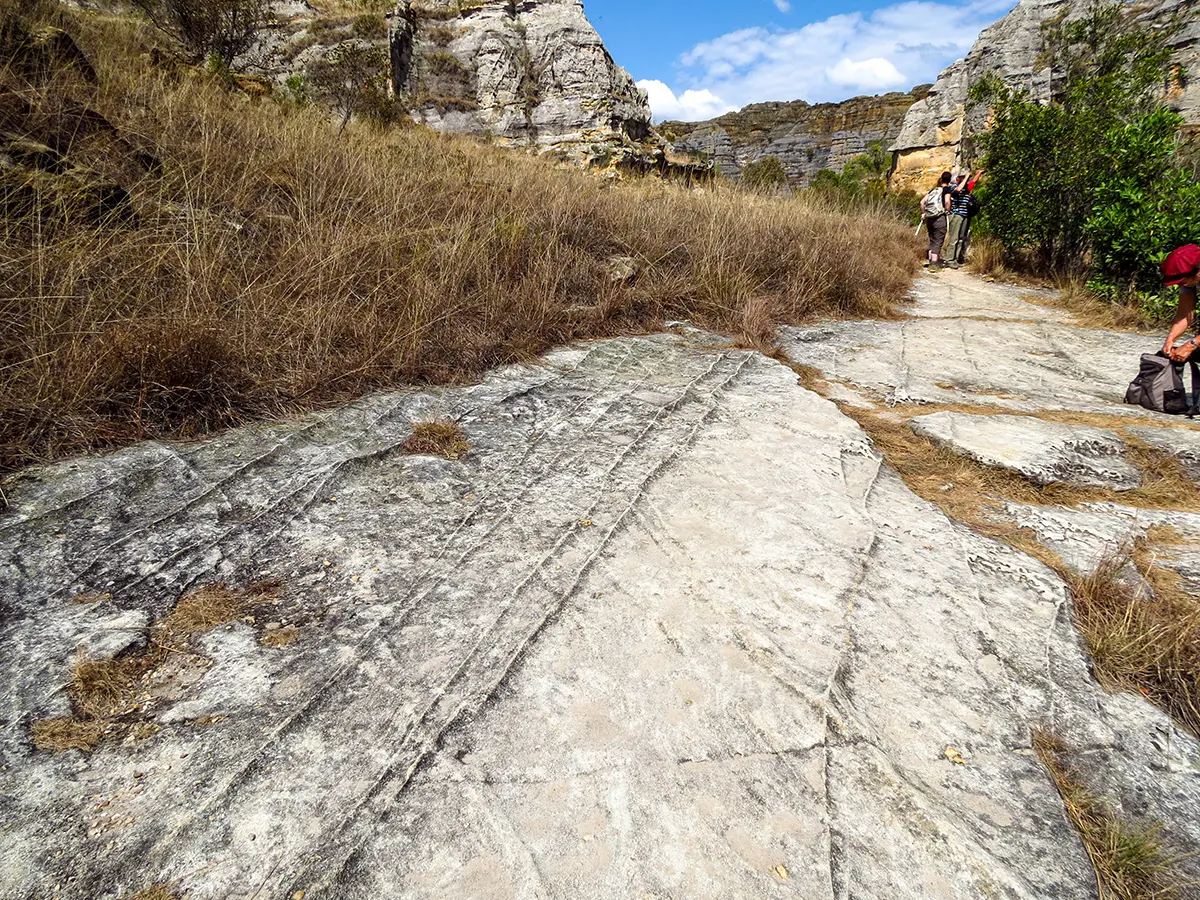 Gletsjersporen uit de Carboon-Perm ijstijd
