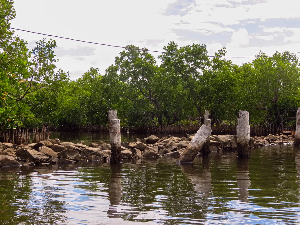 Dam naar piraten eiland en Jardin d'Eden