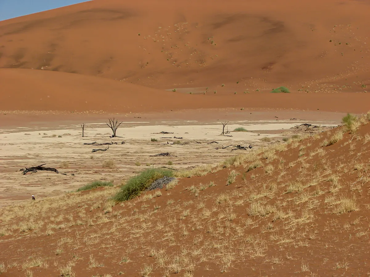 Namibië, Sossusvlei, Deadvlei